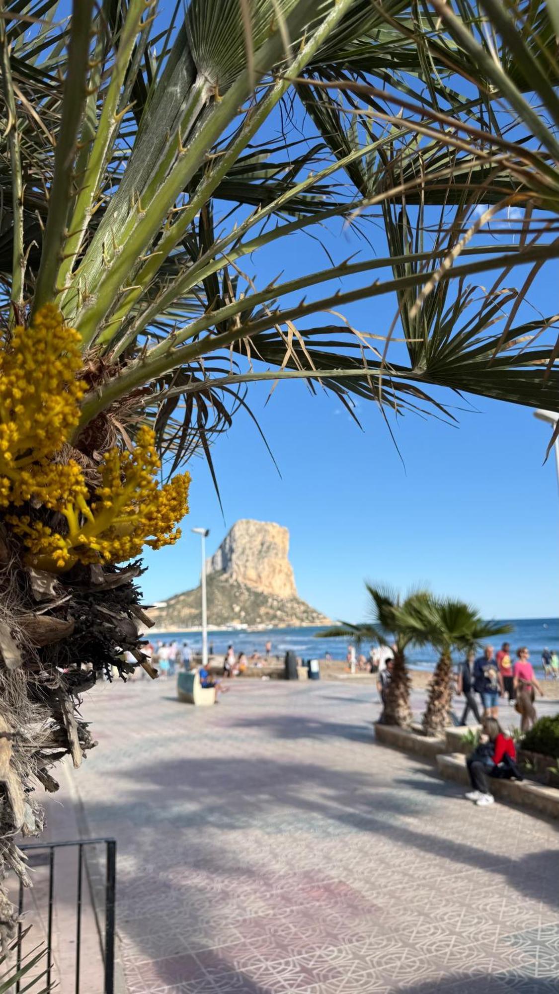 Esmeralda Suites Sunrise Con Piscina Calpe Exteriör bild