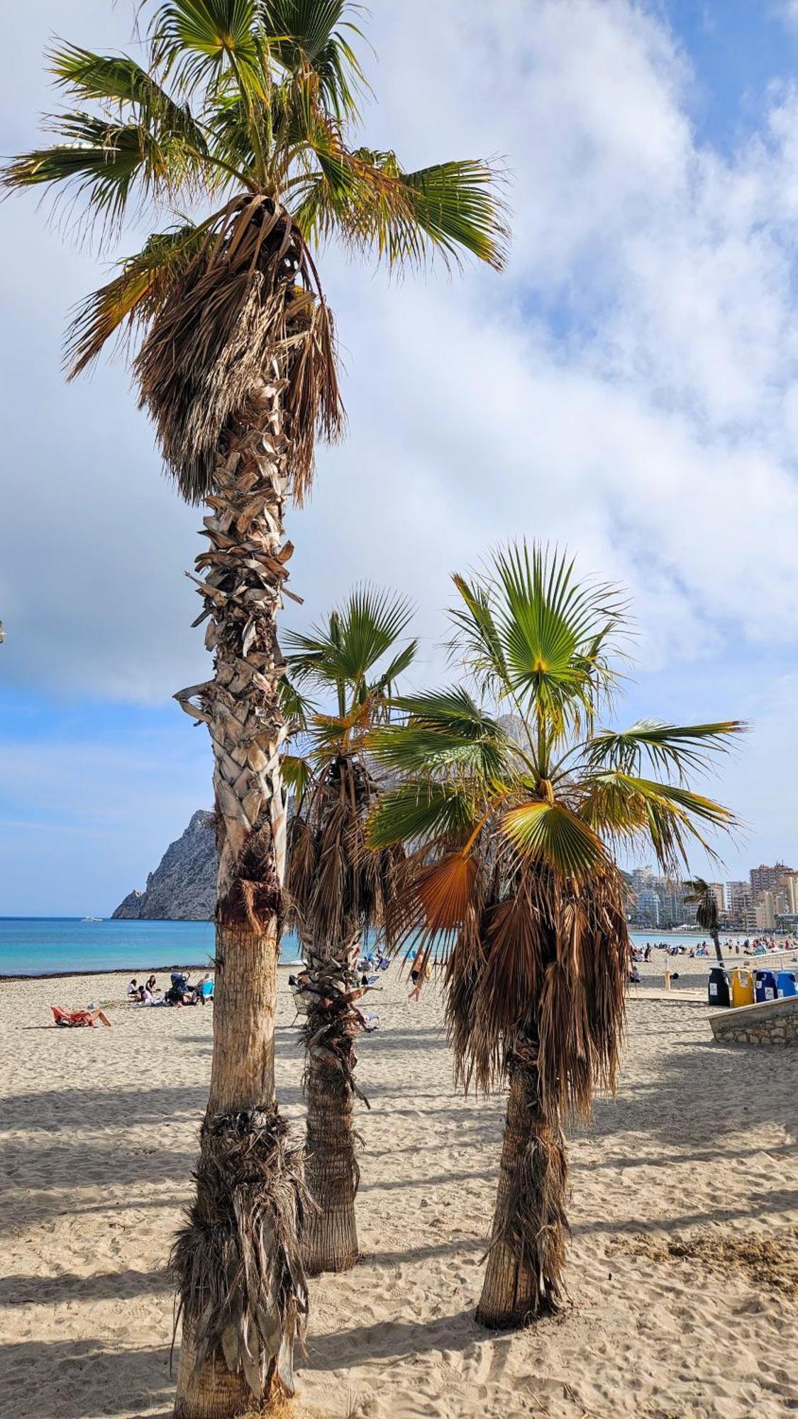 Esmeralda Suites Sunrise Con Piscina Calpe Exteriör bild